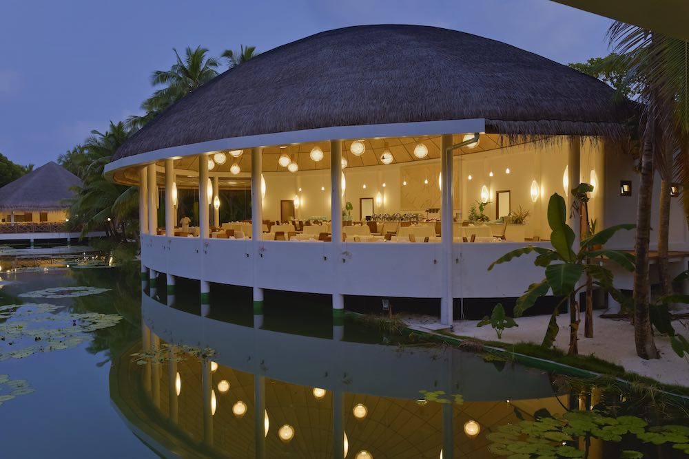 Lake View Bar at Dreamland thumbnail 2